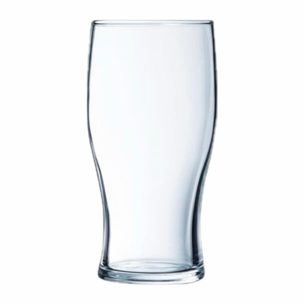 1 PINT TULIP