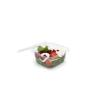 500CC SALAD CONTAINER
