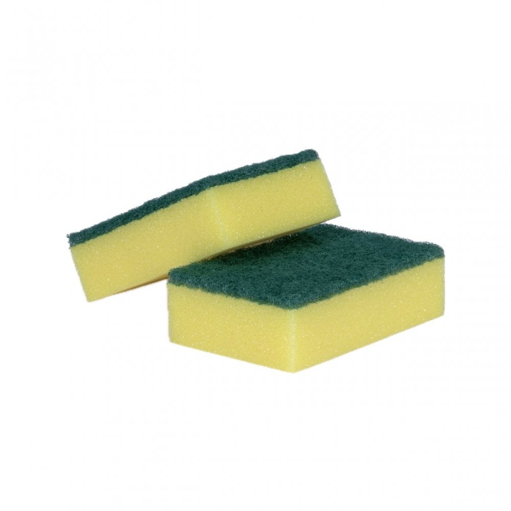 SPONGE SCOURER