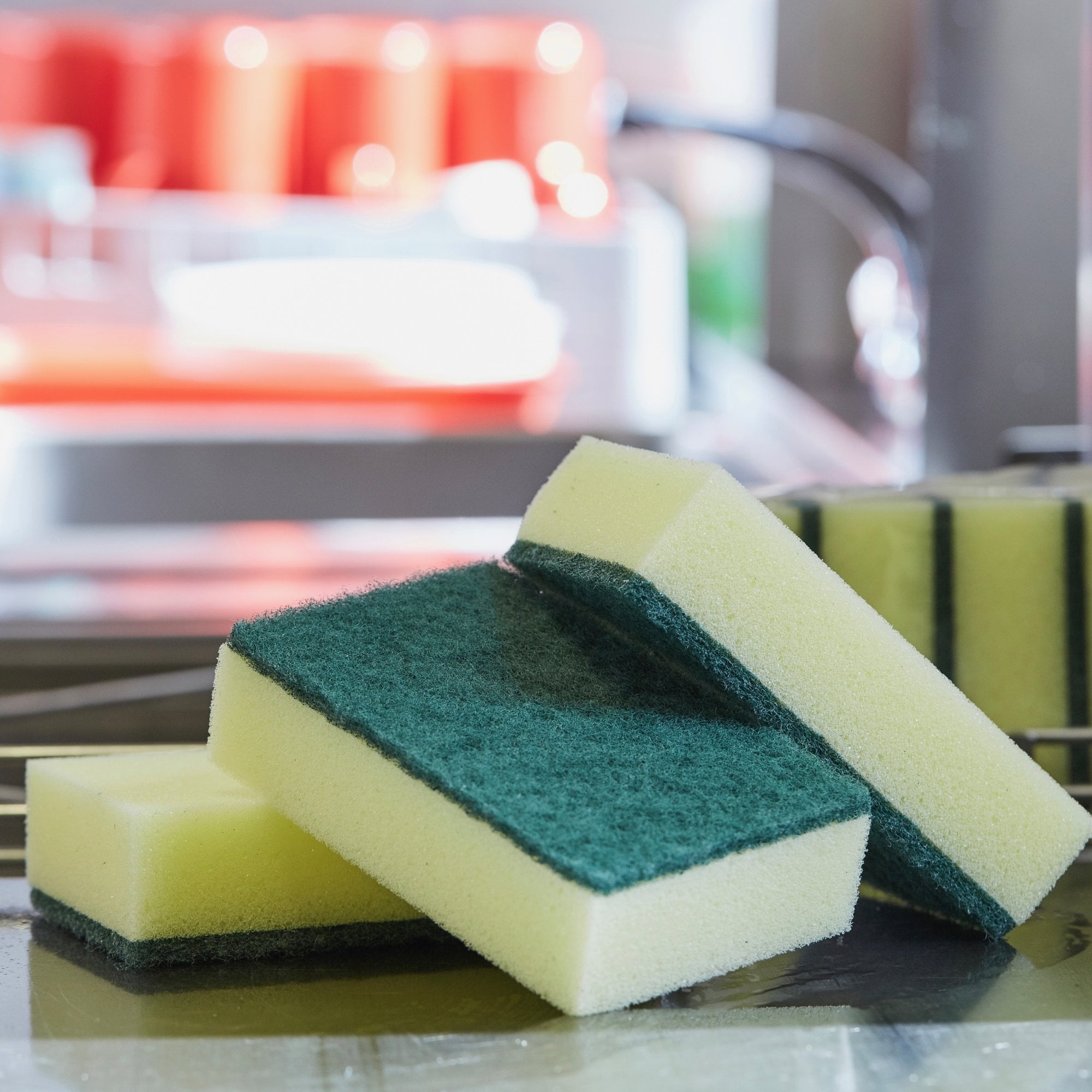 SPONGE SCOURER