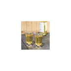 PLASTIC WINE GLASS