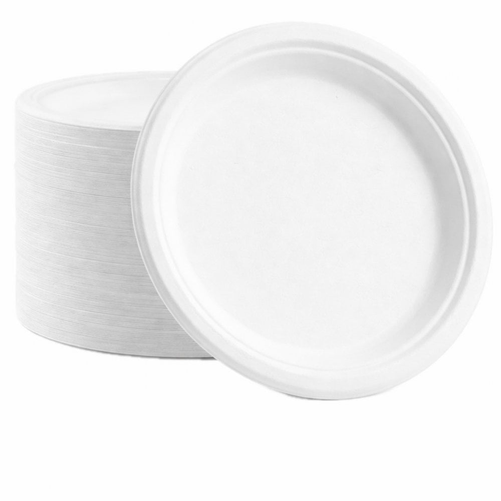 10" BAGASSE PLATE