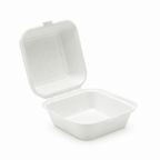 HP6 BAGASSE